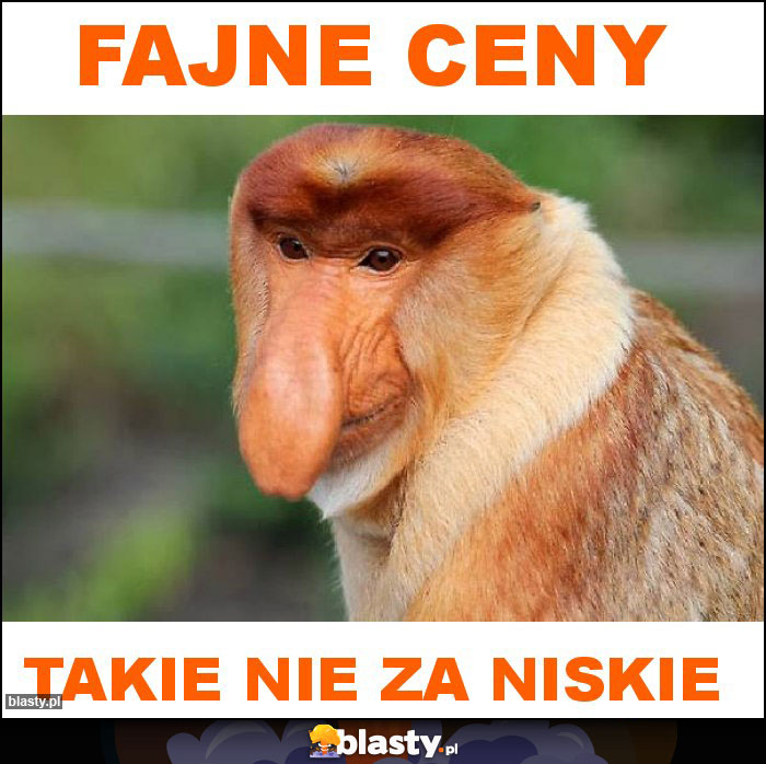 Fajne ceny Fajne ceny
