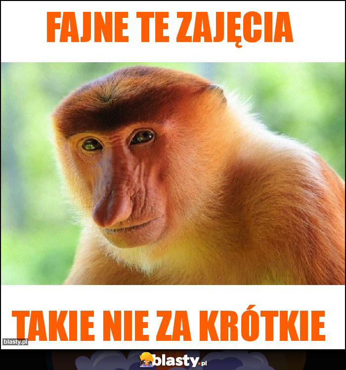 FAJNE TE ZAJĘCIA FAJNE TE ZAJĘCIA