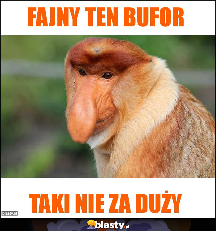 Fajny ten bufor Fajny ten bufor
