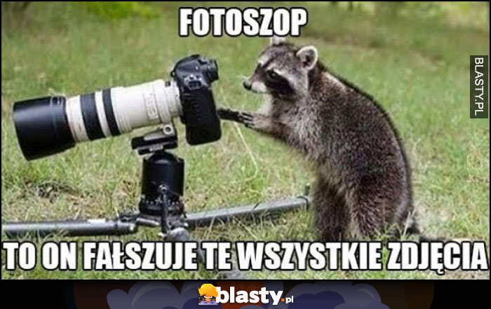 Fotoszop szop z aparatem to on fałszuje wszystkie zdjęcia