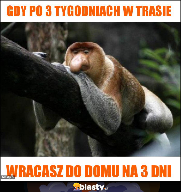 Gdy po 3 tygodniach w trasie Gdy po 3 tygodniach w trasie
