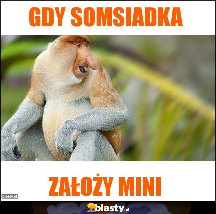 Gdy somsiadka Gdy somsiadka