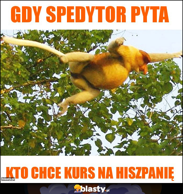 Gdy spedytor pyta Gdy spedytor pyta