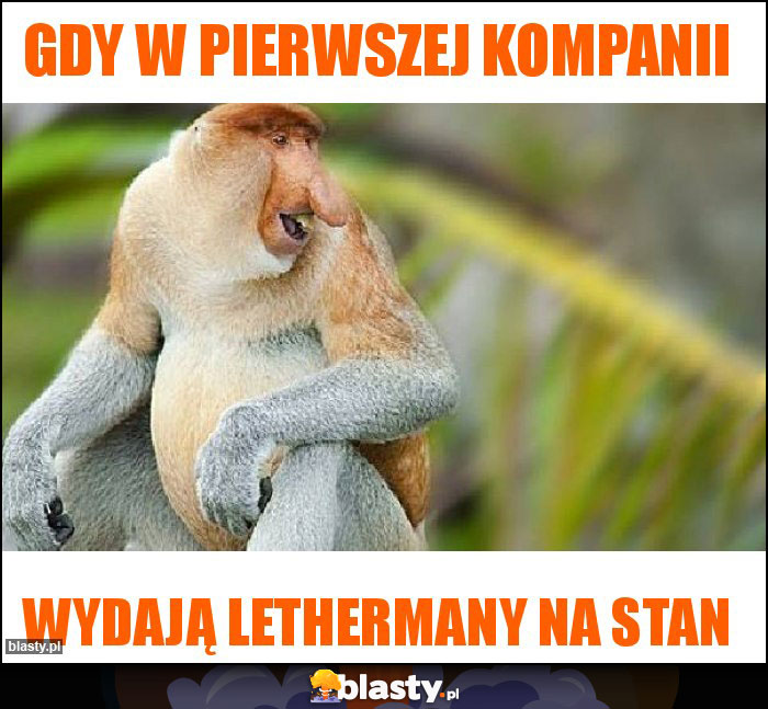 gdy w pierwszej kompanii gdy w pierwszej kompanii