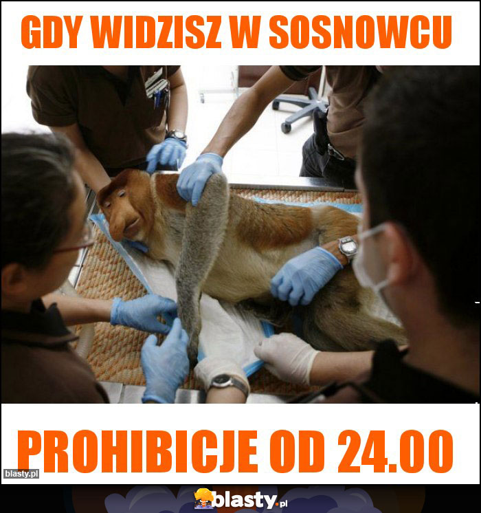 Gdy widzisz w Sosnowcu Gdy widzisz w Sosnowcu