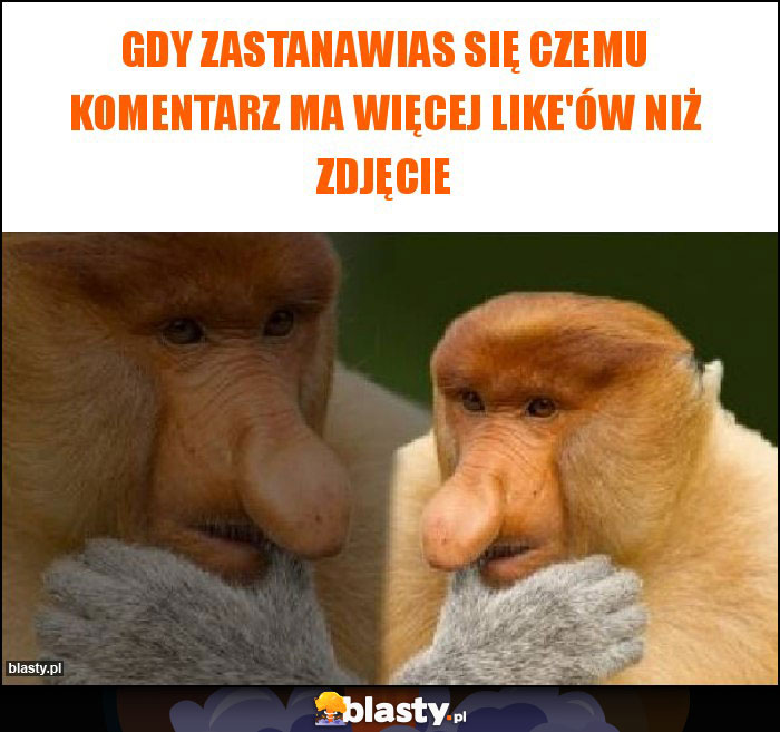 Gdy zastanawias się czemu komentarz ma więcej like'ów niż zdjęcie Gdy zastanawias się czemu komentarz ma więcej like'ów niż zdjęcie
