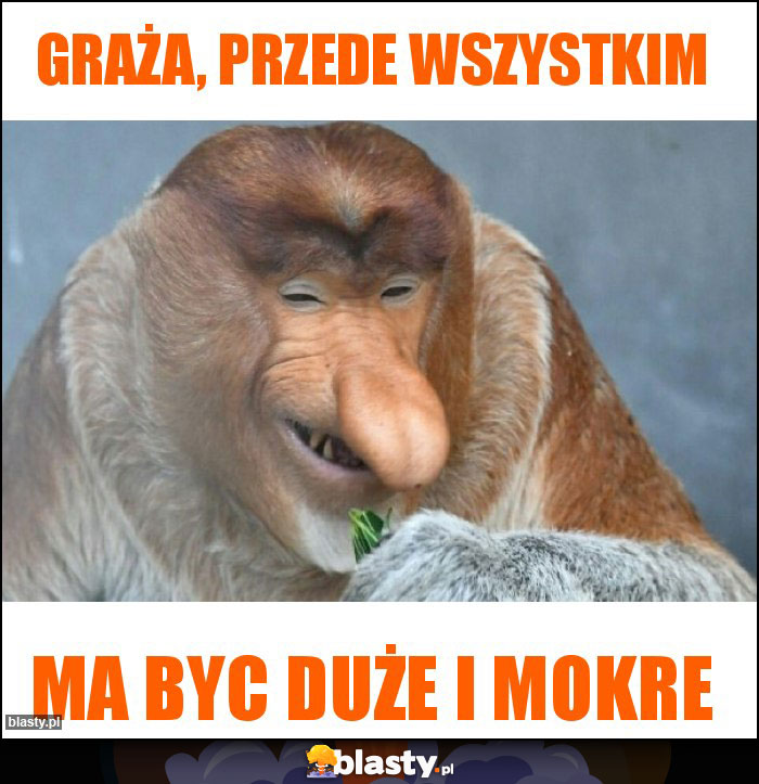 Graża, przede wszystkim Graża, przede wszystkim