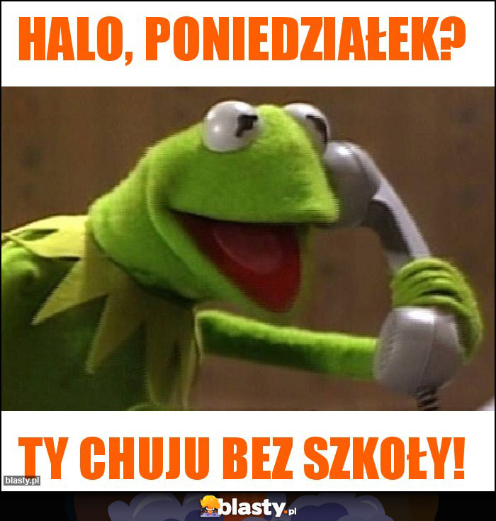 Halo, poniedziałek?