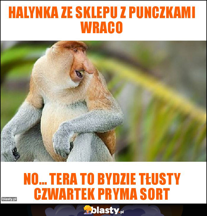 Halynka ze sklepu z punczkami wraco Halynka ze sklepu z punczkami wraco