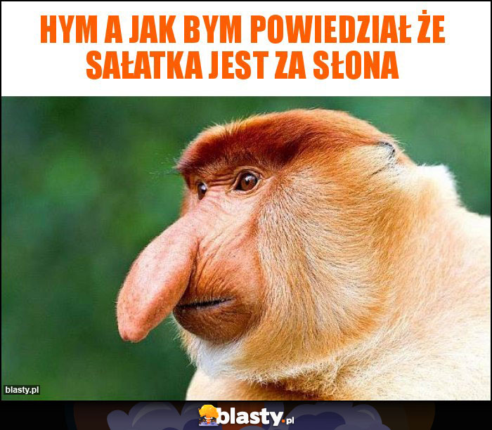 Hym a jak bym powiedział że Sałatka jest za słona Hym a jak bym powiedział że Sałatka jest za słona