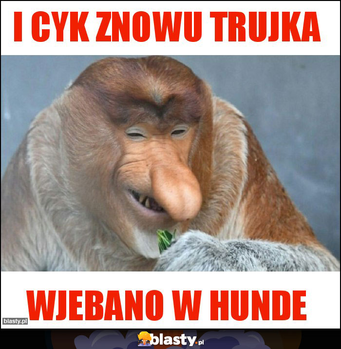 I cyk znowu trujka I cyk znowu trujka