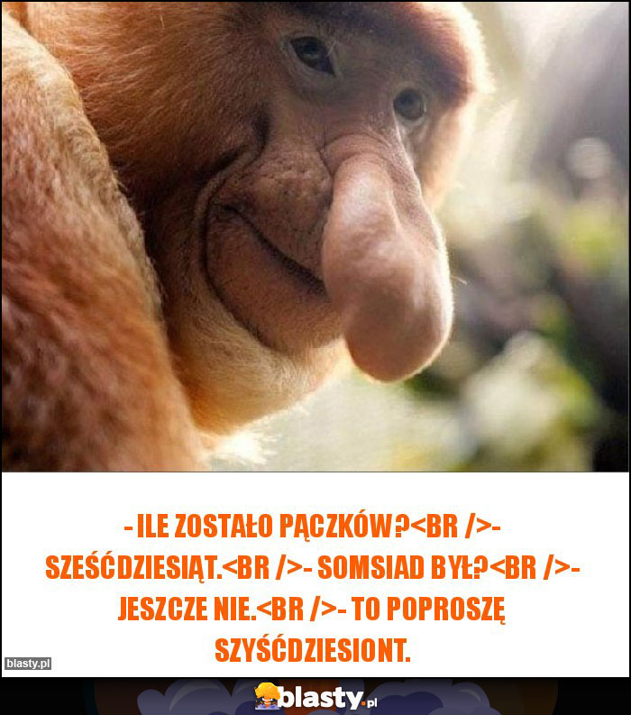 - Ile zostało pączków?
- Sześćdziesiąt.
- Somsiad był?
- Jeszcze nie.
- To poproszę szyśćdziesiont.