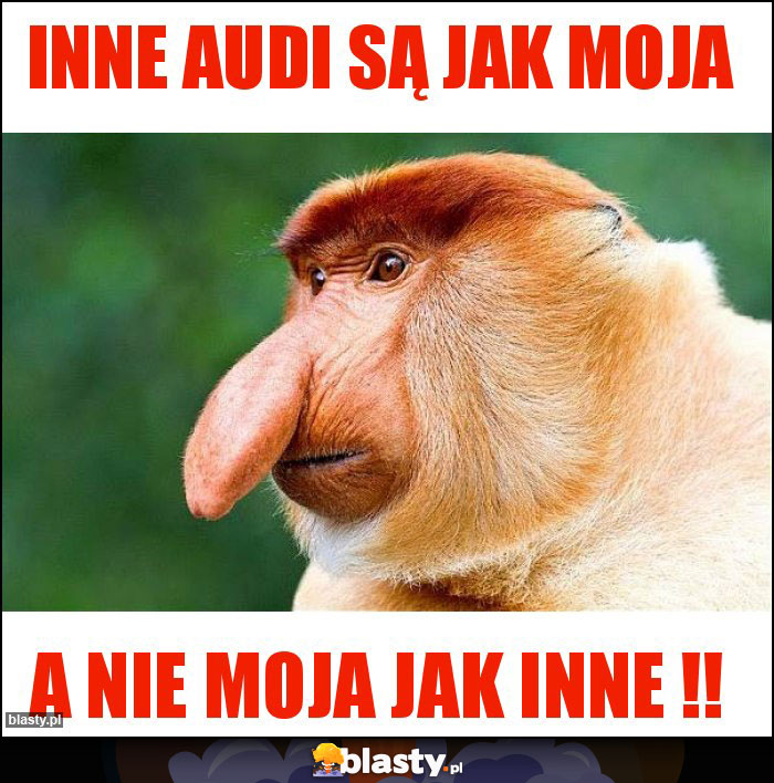 Inne audi są jak moja Inne audi są jak moja