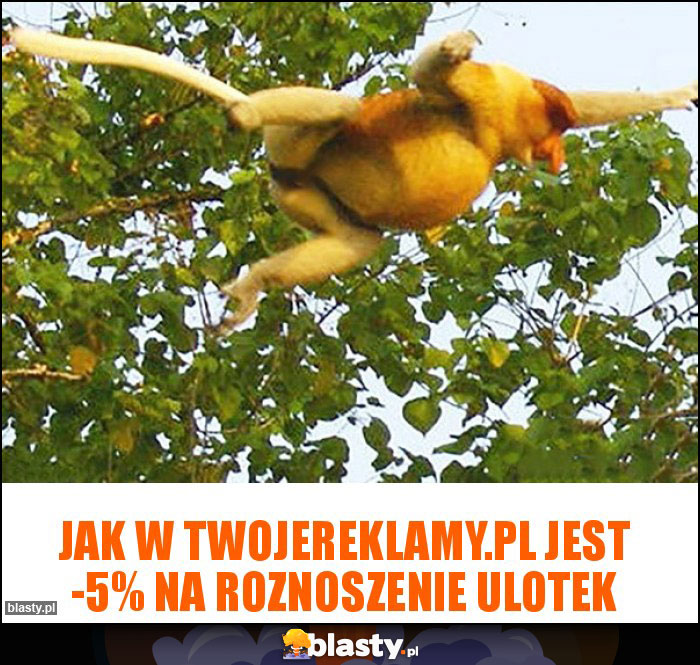 Jak w twojereklamy.pl jest -5% na roznoszenie ulotek Jak w twojereklamy.pl jest -5% na roznoszenie ulotek