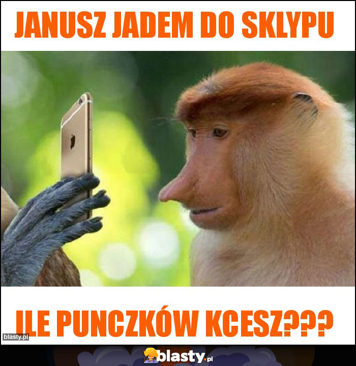 Janusz jadem do sklypu Janusz jadem do sklypu