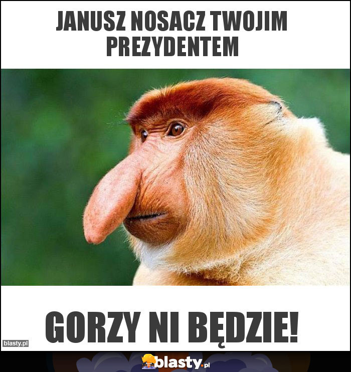 Janusz nosacz twojim prezydentem Janusz nosacz twojim prezydentem