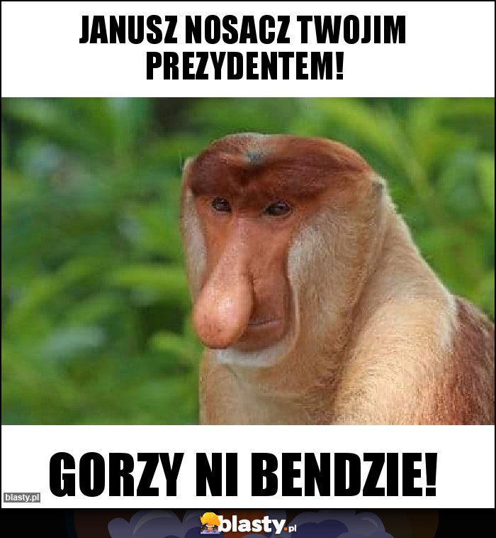 Janusz nosacz twojim prezydentem! Janusz nosacz twojim prezydentem!