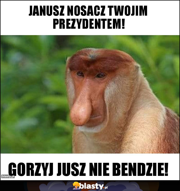 Janusz nosacz twojim prezydentem! Janusz nosacz twojim prezydentem!
