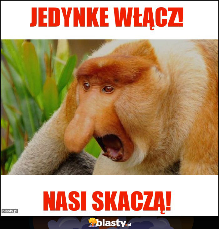 Jedynke włącz! Jedynke włącz!