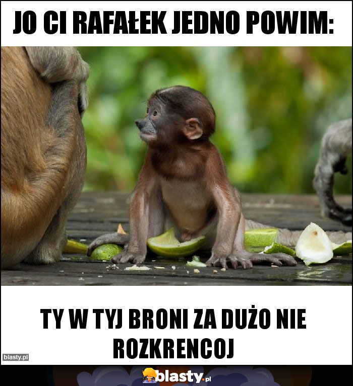 jo ci rafałek jedno powim: jo ci rafałek jedno powim: