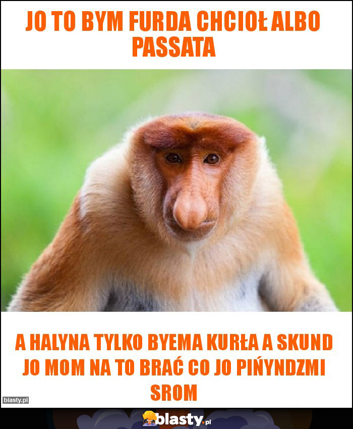 Jo to bym furda chcioł albo passata Jo to bym furda chcioł albo passata