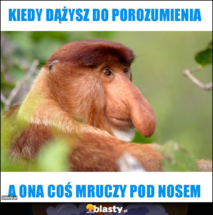 Kiedy dążysz do porozumienia Kiedy dążysz do porozumienia