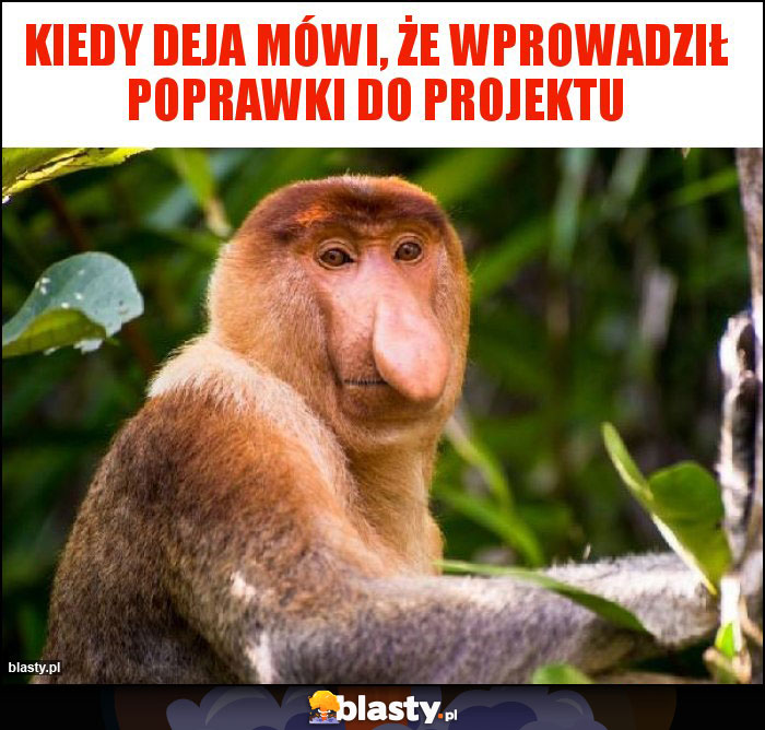 Kiedy deja mówi, że wprowadził poprawki do projektu Kiedy deja mówi, że wprowadził poprawki do projektu