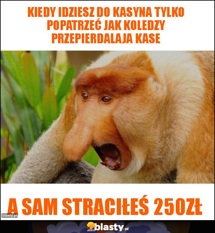kiedy idziesz do kasyna tylko popatrzeć jak koledzy przepierdalaja kase kiedy idziesz do kasyna tylko popatrzeć jak koledzy przepierdalaja kase