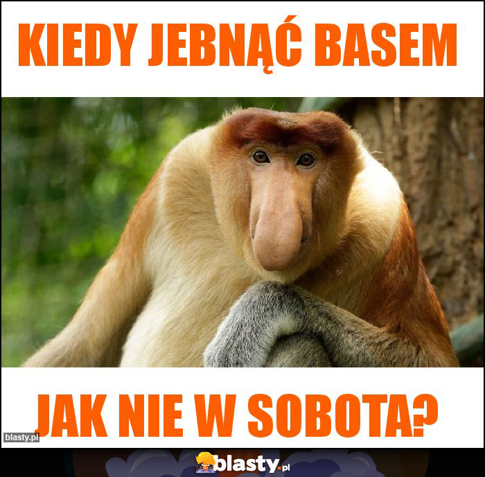 Kiedy jebnąć basem Kiedy jebnąć basem
