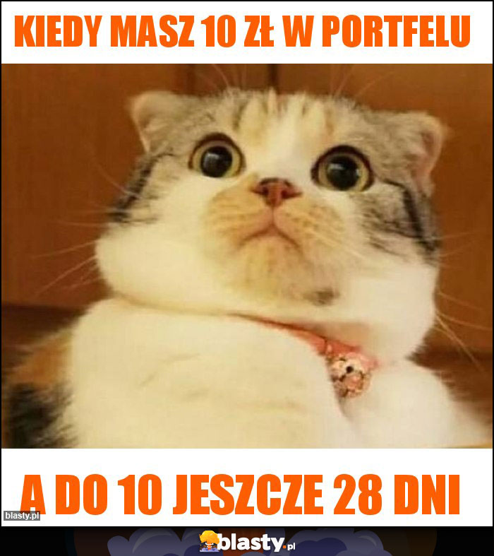 Kiedy masz 10 zł w portfelu Kiedy masz 10 zł w portfelu