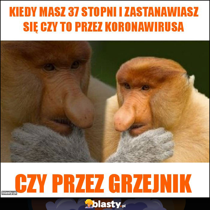 Kiedy masz 37 stopni i zastanawiasz się Czy to przez koronawirusa Kiedy masz 37 stopni i zastanawiasz się Czy to przez koronawirusa