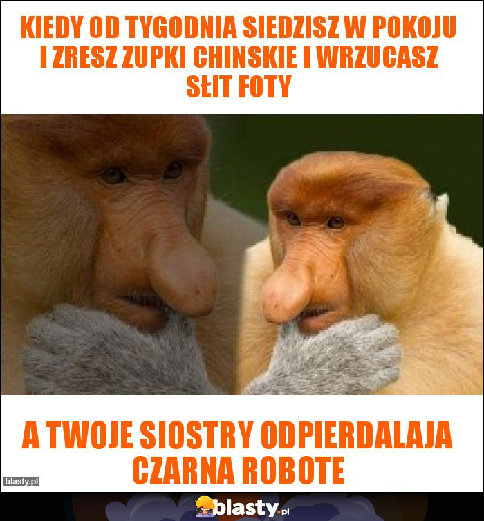 Kiedy od tygodnia siedzisz w pokoju i zresz zupki chinskie i wrzucasz słit foty Kiedy od tygodnia siedzisz w pokoju i zresz zupki chinskie i wrzucasz słit foty