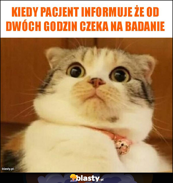 Kiedy pacjent informuje że od dwóch godzin czeka na badanie Kiedy pacjent informuje że od dwóch godzin czeka na badanie