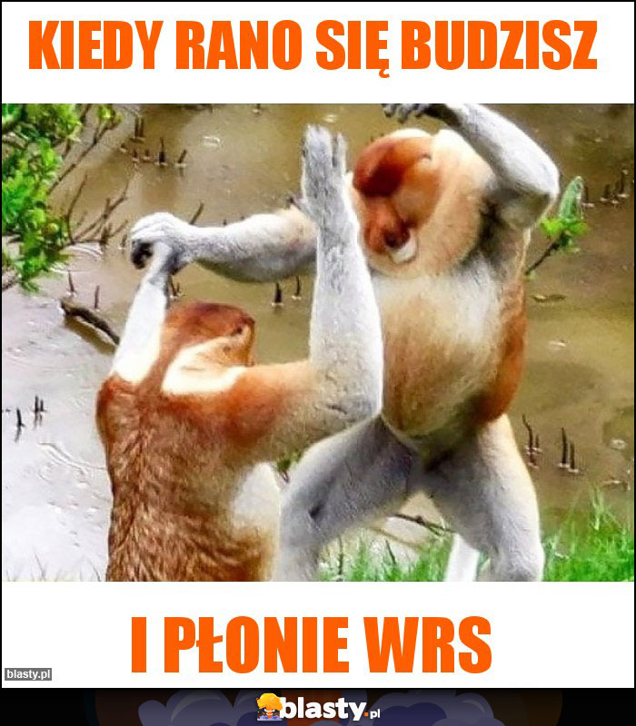 Kiedy rano się budzisz Kiedy rano się budzisz