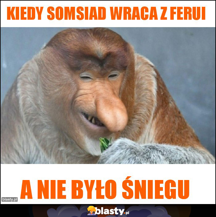 Kiedy somsiad wraca z ferui Kiedy somsiad wraca z ferui