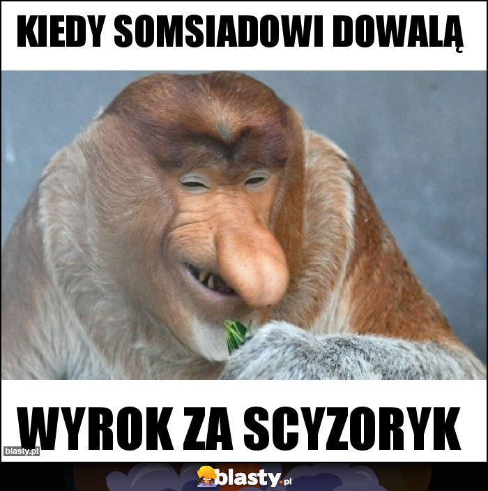 Kiedy somsiadowi dowalą Kiedy somsiadowi dowalą