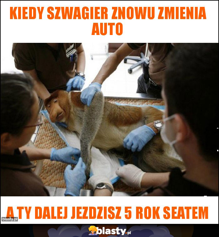 kiedy szwagier znowu zmienia auto kiedy szwagier znowu zmienia auto
