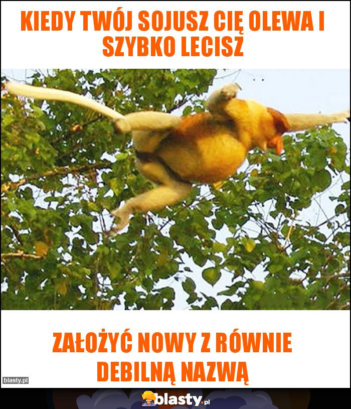 KIEDY TWÓJ SOJUSZ CIĘ OLEWA I SZYBKO LECISZ KIEDY TWÓJ SOJUSZ CIĘ OLEWA I SZYBKO LECISZ