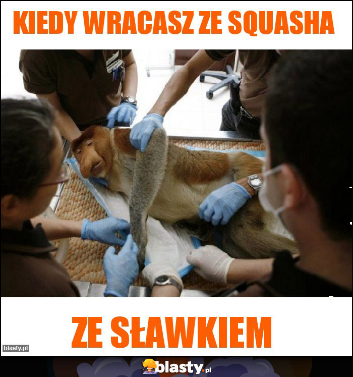 KIEDY WRACASZ ZE SQUASHA KIEDY WRACASZ ZE SQUASHA