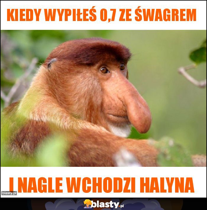 Kiedy wypiłeś 0,7 ze śwagrem Kiedy wypiłeś 0,7 ze śwagrem