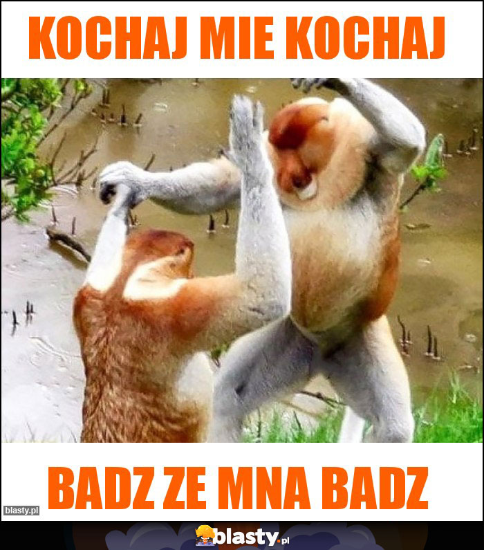 kochaj mie kochaj kochaj mie kochaj