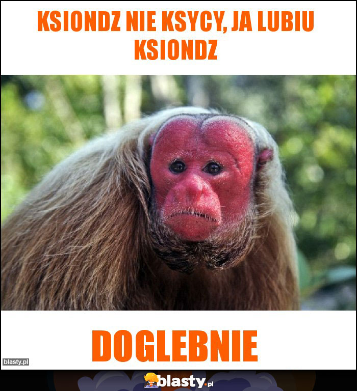 Ksiondz nie ksycy, ja lubiu ksiondz Ksiondz nie ksycy, ja lubiu ksiondz
