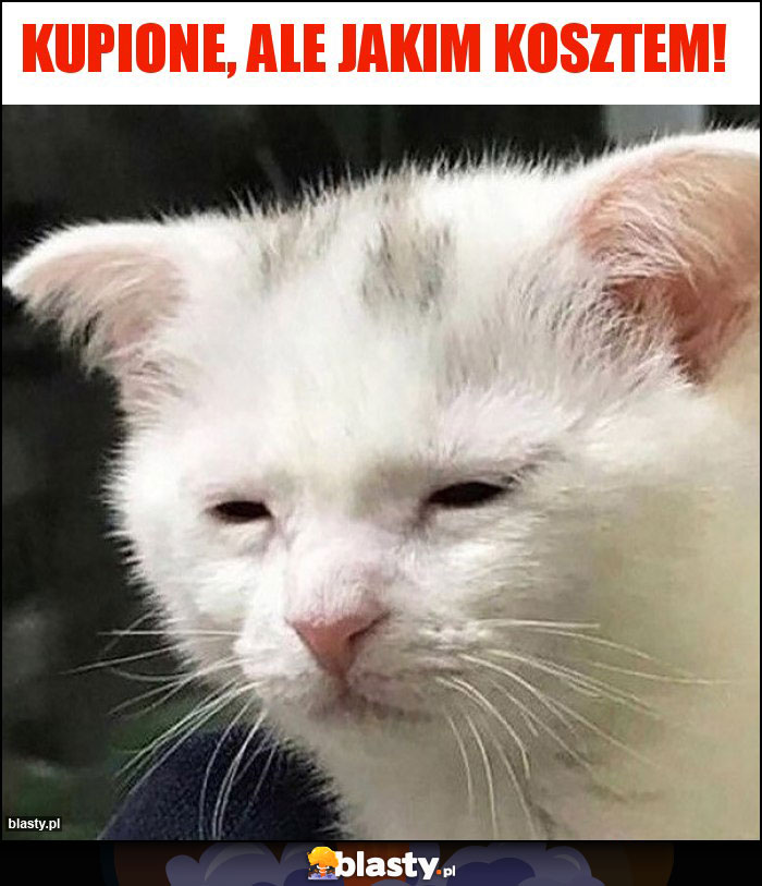 KUPIONE, ALE JAKIM KOSZTEM! KUPIONE, ALE JAKIM KOSZTEM!