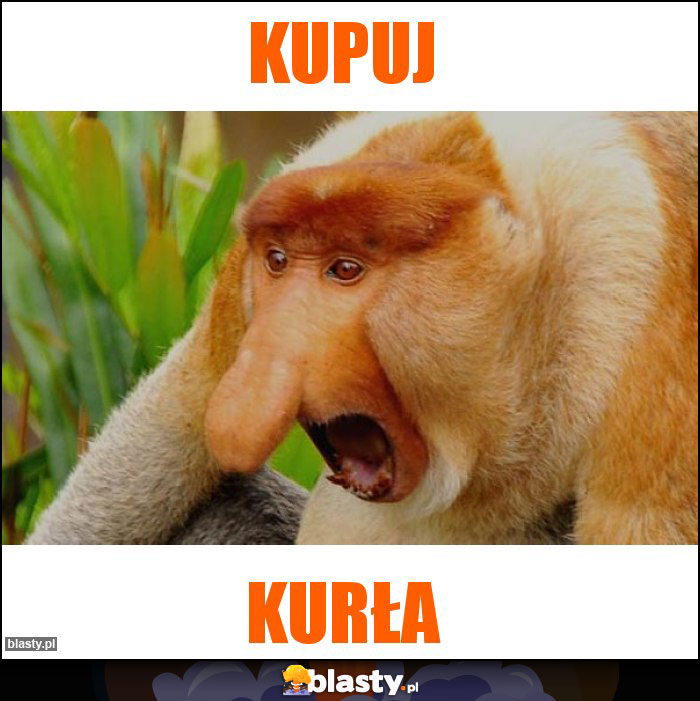 Kupuj