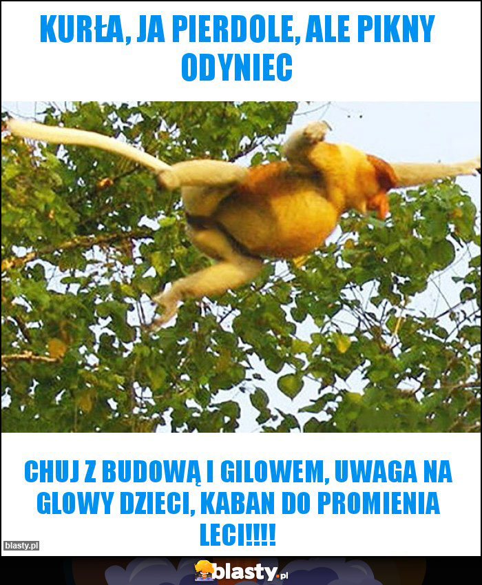 Kurła, ja pierdole, ale pikny odyniec Kurła, ja pierdole, ale pikny odyniec