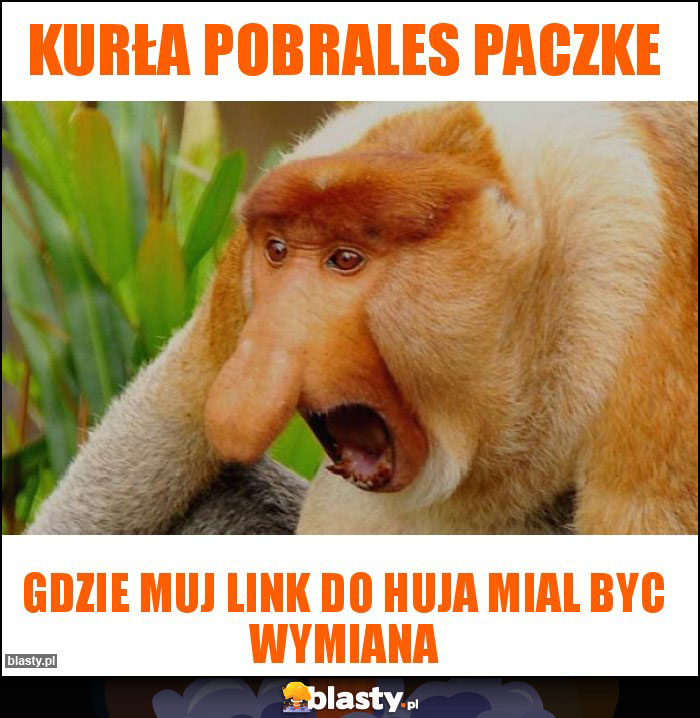 KURŁA POBRALES PACZKE KURŁA POBRALES PACZKE