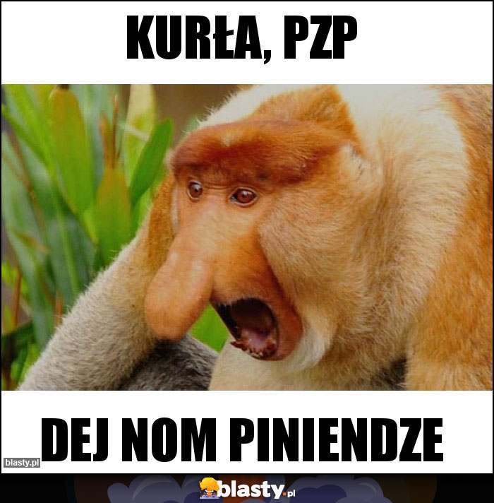 KURŁA, PZP KURŁA, PZP