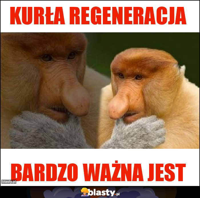 Kurła regeneracja Kurła regeneracja