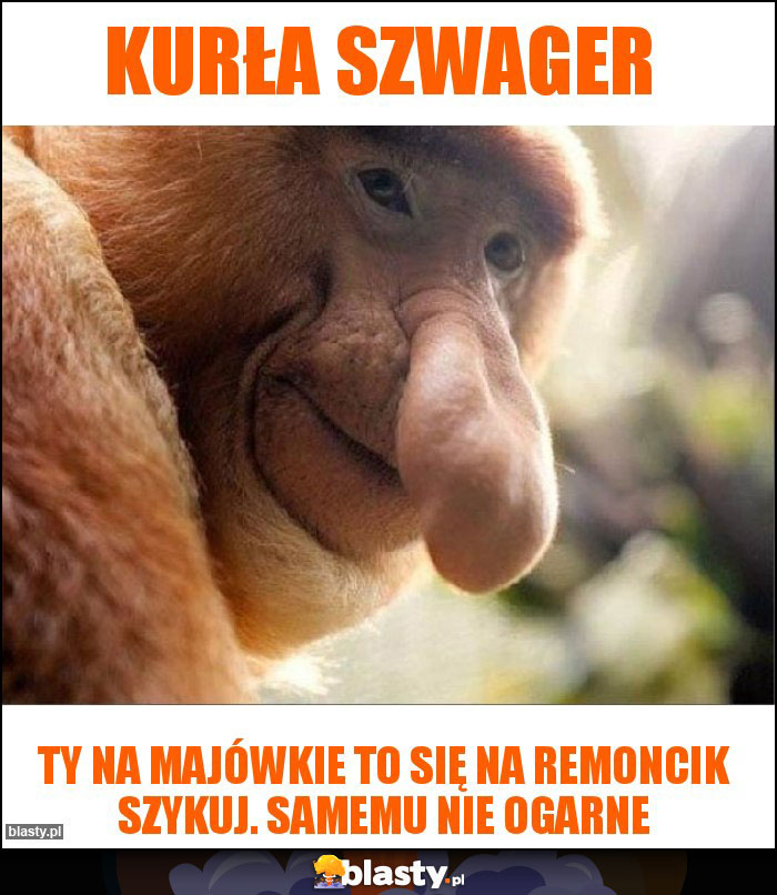 Kurła szwager Kurła szwager