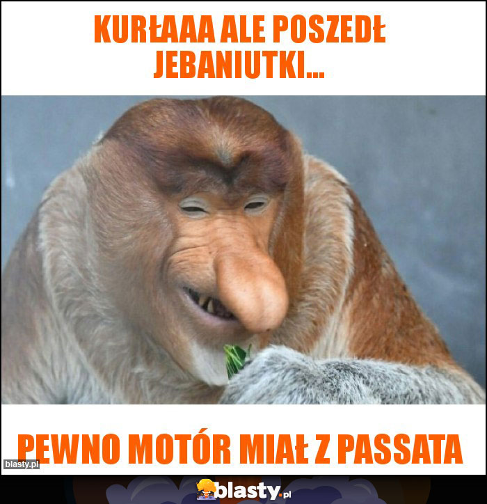 KURŁAAA ale poszedł jebaniutki...